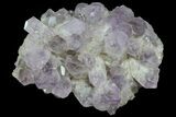 Stunning, Wide Amethyst Crystal Cluster - Large Points #78152-1